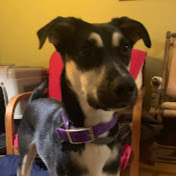 Profile Picture of Leo Cohen (@leocohen2851) on Youtube