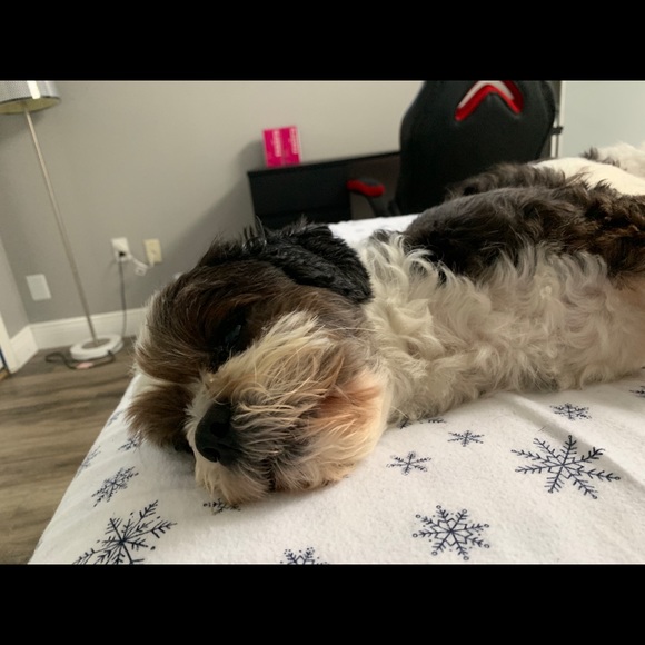 Profile Picture of Juan Olivar (@jolivar1416) on Poshmark