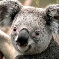 Profile Picture of Alex Chatham (@alex-chatham-1) on Quora