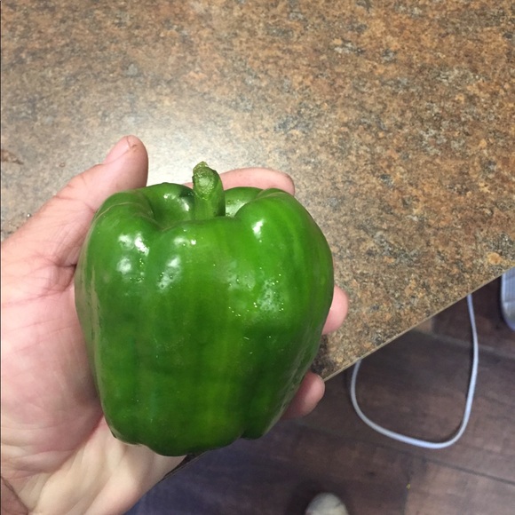 Robert Rhodes - Poshmark Profile Picture of Robert Rhodes (@itaintez33) on Poshmark