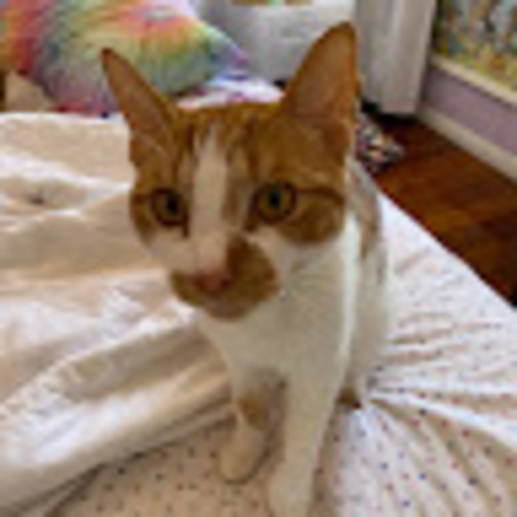 Profile Picture of Nadia Wilson (@men0l0tt0) on Poshmark