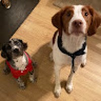 Profile Picture of Adam Kota (@adam-kota-3) on Quora