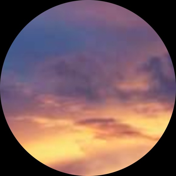 Profile Picture of Jane Osher (@jasaro18) on Poshmark