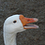 Profile Picture of David Wilson (@davidwilso) on Flickr