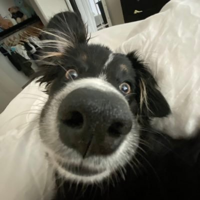 Profile Picture of Tan (@BenGiaz) on Twitter