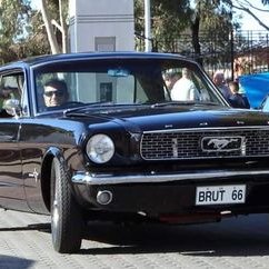 Profile Picture of Anthony DiBartolo (@AnthonyDiBarto7) on Twitter