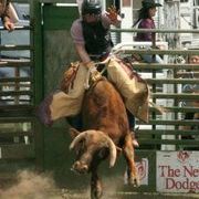 Profile Picture of Wesley Cargile (@rebelhorse) on Pinterest