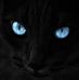 Profile Picture of Mercury Freddy England (@Mercury-Freddy-England) on Facebook