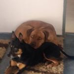 Profile Picture of Gabriel Gerardo (@gerardo4971) on Instagram