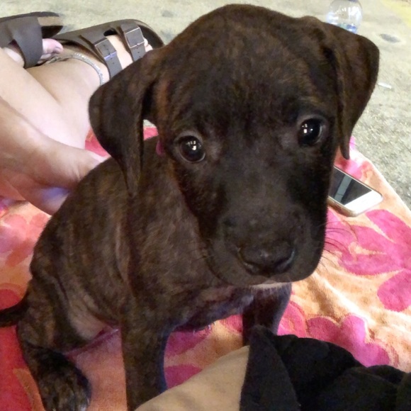 Profile Picture of Kaleb Spadaro (@kspad14) on Poshmark