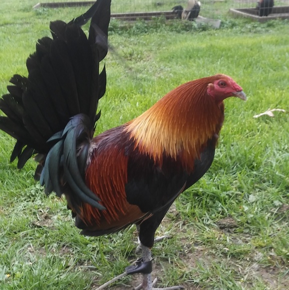 Profile Picture of Ashlyn Hall (@ashlynhall686) on Poshmark