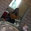 Profile Picture of Chloe Barron (@@chloebarron) on Tiktok