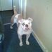 Profile Picture of Kenneth Mcalroy (@kenneth.mcalroy.5) on Facebook