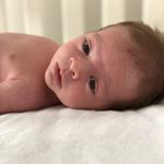 Profile Picture of Brock Gregory Abbott (@brock.abbott) on Instagram