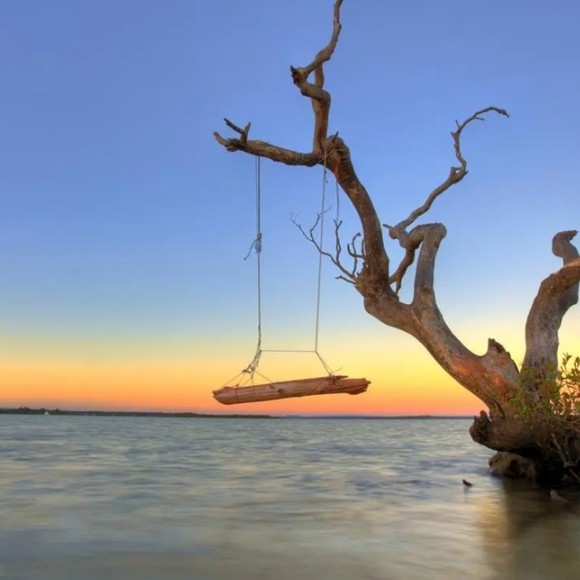 Darrell Pitts - Poshmark Profile Picture of Darrell Pitts (@pittsdarrell25) on Poshmark