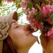 Profile Picture of Tracy Johnson Derickson (@tltree) on Pinterest