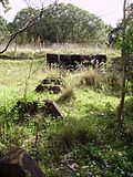 Profile Picture of Lahey's Canungra Sawmillon Wikipedia