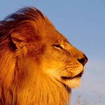 Profile Picture of Ashton Cordisco (@ashmichaelpriv14) on Instagram