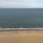 Profile Picture of Jacob Earley (@jacob_earley_) on Instagram