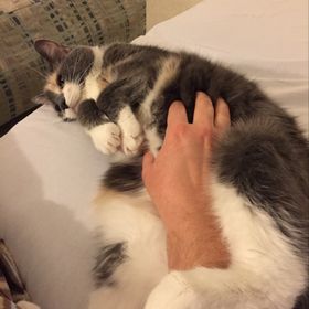 Profile Picture of Tracy Renee (@tracybenner) on Pinterest