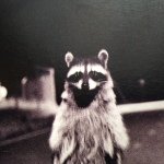 Profile Picture of Simon Allen (@stigdoople) on Instagram