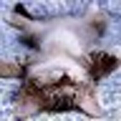 Profile Picture of KATHERYN COLLINS (@SashaNahiv1960) on Twitter