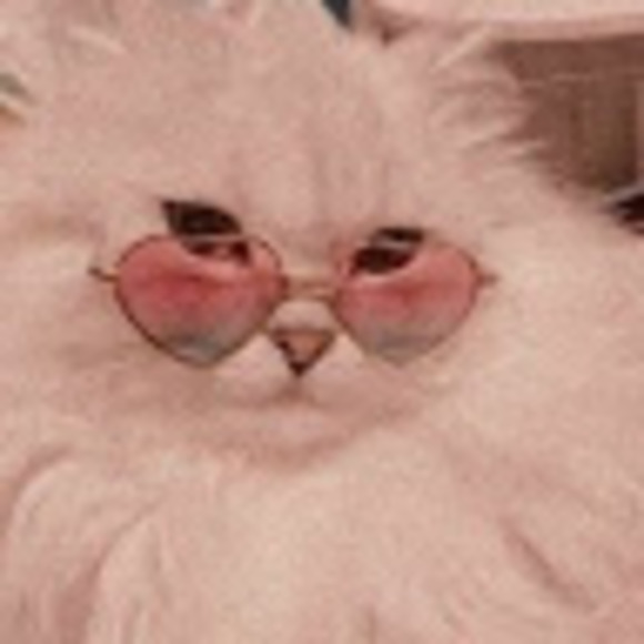 Profile Picture of Sam Kehrli (@samkehrli) on Poshmark