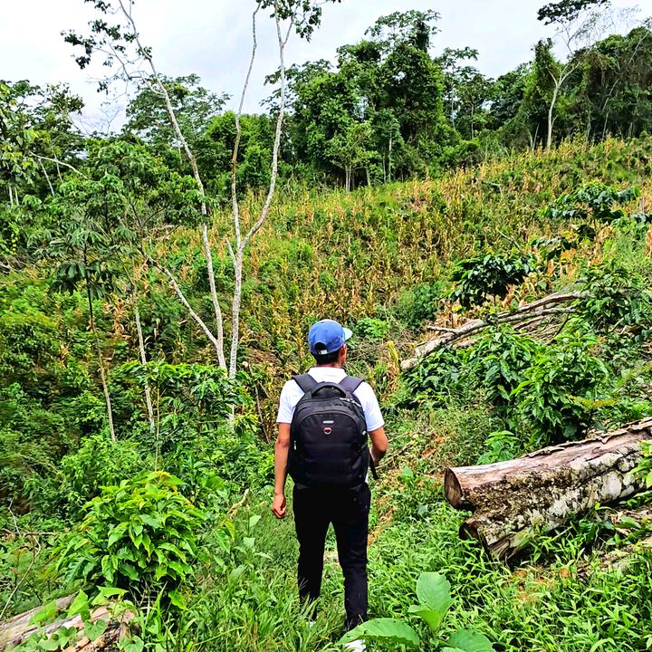 Profile Picture of MESECK (@meseck.mt) on Tiktok