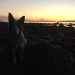 Profile Picture of Micah Halverson (@micah_halverson) on Instagram