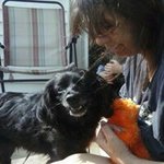 Profile Picture of Sue Zeigler-Null (@dolphinchic1_2000) on Instagram