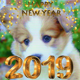 Shaunte Bailey - Facebook Profile Picture of Shaunte Bailey (@shaunte.bailey.94) on Facebook