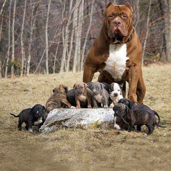 Profile Picture of Brandon Davis (@bigtt82) on Poshmark