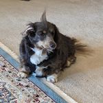 Profile Picture of Jason Lipinski (@joman20xx) on Instagram