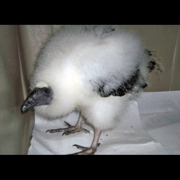 Profile Picture of Bryn Hellickson (@brynhellickson) on Poshmark