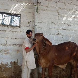 Profile Picture of Zohaib Qureshi (@zohaib.qureshi.12576) on Facebook