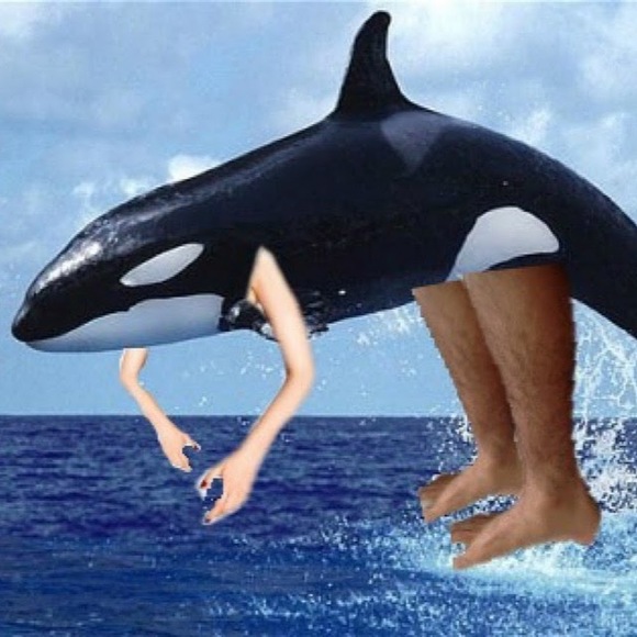 Profile Picture of Sarah Nassar (@sarahahnassar) on Poshmark