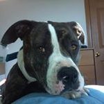Profile Picture of Jeremy Loucks (@loucksjeremy) on Instagram