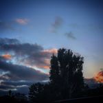 Profile Picture of Matthew_Calderon_ (@matthew_calderon_6) on Instagram