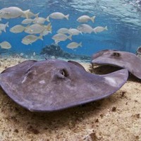 Profile Picture of Marshall Schrank (@marshall-schrank) on Quora