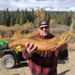 Profile Picture of Steve Hulse (@hulse.steve) on Instagram