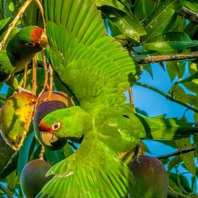 DAVID COVA - Twitter Profile Picture of DAVID COVA (@DAVIDCOVA5) on Twitter