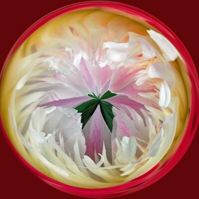 Profile Picture of Audrey Whiting (@AudreyWhiting1) on Twitter