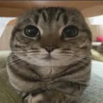 Profile Picture of Randolph Paucar (@randolph.paucar) on Facebook