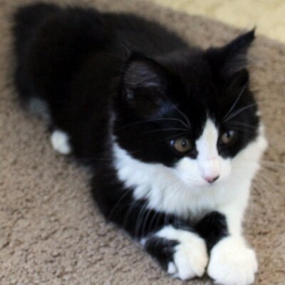 Profile Picture of Amy Friday (@Aimec21) on Twitter