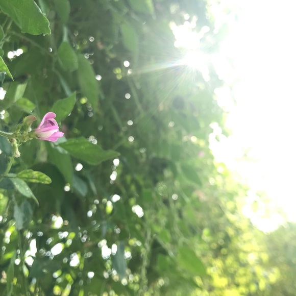 Profile Picture of Nancy Carpenter (@nancycarpent257) on Poshmark