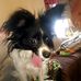 Profile Picture of Joan Riggi (@joan.riggi.520) on Facebook