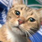 Profile Picture of Aden BarnesMiller (@aden.barnes.miller) on Facebook