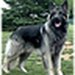 Profile Picture of Todd Kerkstra (@tkerkstra73) on Flickr