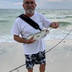 Profile Picture of Larry Creech (@larrycreech88) on Instagram