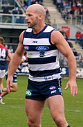 Profile Picture of Paul Chapman (Australian footballer)on Wikipedia